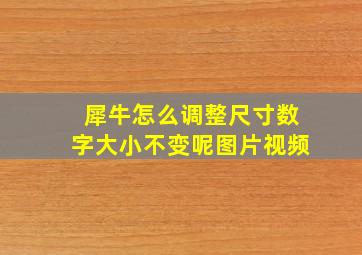 犀牛怎么调整尺寸数字大小不变呢图片视频