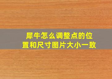 犀牛怎么调整点的位置和尺寸图片大小一致