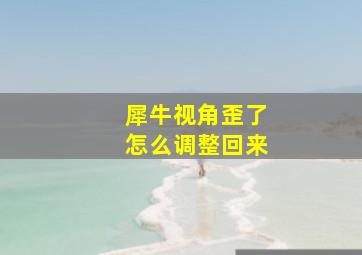 犀牛视角歪了怎么调整回来