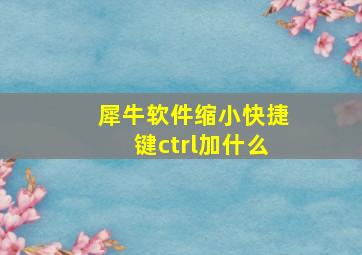 犀牛软件缩小快捷键ctrl加什么