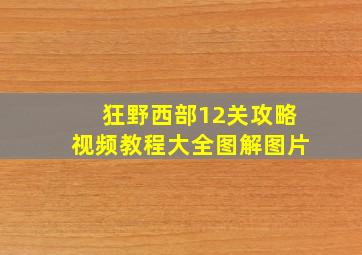 狂野西部12关攻略视频教程大全图解图片