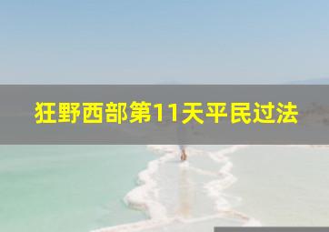 狂野西部第11天平民过法