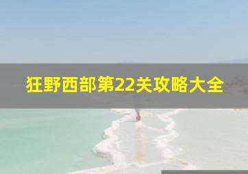 狂野西部第22关攻略大全