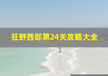 狂野西部第24关攻略大全