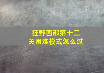 狂野西部第十二关困难模式怎么过