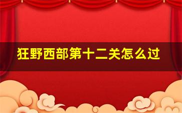 狂野西部第十二关怎么过