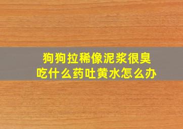 狗狗拉稀像泥浆很臭吃什么药吐黄水怎么办