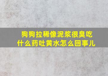 狗狗拉稀像泥浆很臭吃什么药吐黄水怎么回事儿