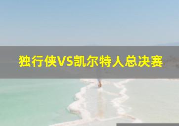 独行侠VS凯尔特人总决赛