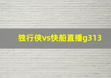 独行侠vs快船直播g313