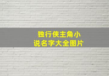 独行侠主角小说名字大全图片