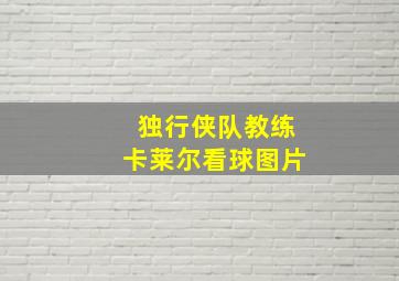 独行侠队教练卡莱尔看球图片