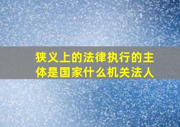 狭义上的法律执行的主体是国家什么机关法人