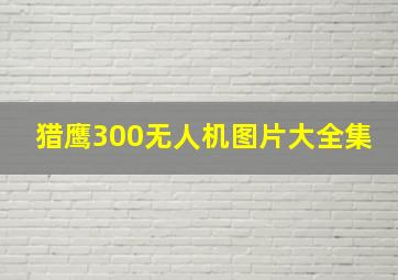 猎鹰300无人机图片大全集