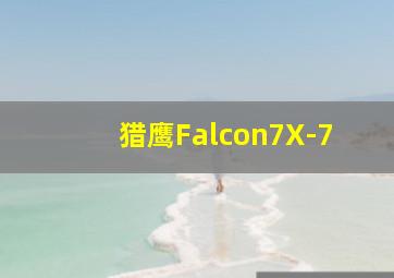 猎鹰Falcon7X-7