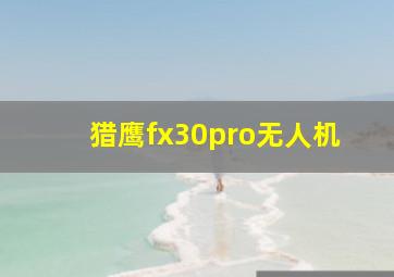 猎鹰fx30pro无人机