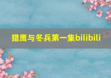 猎鹰与冬兵第一集bilibili