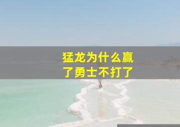 猛龙为什么赢了勇士不打了