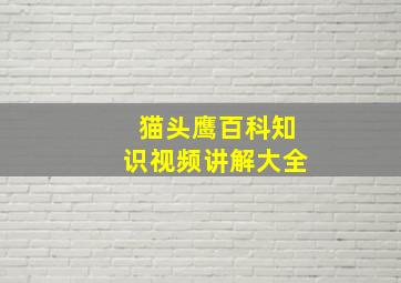 猫头鹰百科知识视频讲解大全