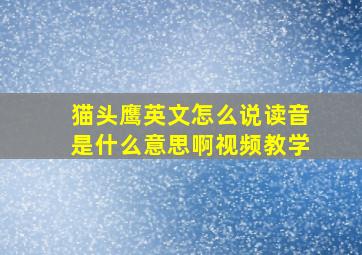 猫头鹰英文怎么说读音是什么意思啊视频教学