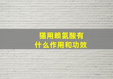 猫用赖氨酸有什么作用和功效