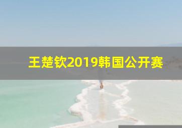 王楚钦2019韩国公开赛