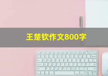 王楚钦作文800字