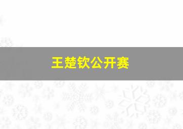 王楚钦公开赛