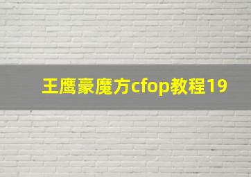 王鹰豪魔方cfop教程19