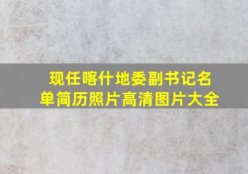 现任喀什地委副书记名单简历照片高清图片大全