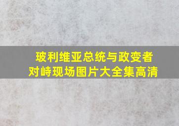 玻利维亚总统与政变者对峙现场图片大全集高清