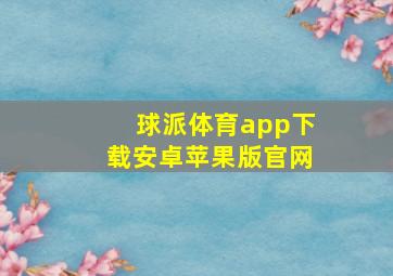 球派体育app下载安卓苹果版官网