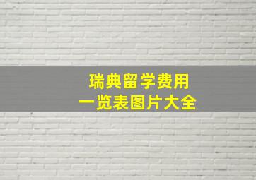 瑞典留学费用一览表图片大全