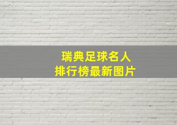 瑞典足球名人排行榜最新图片