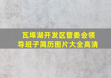 瓦埠湖开发区管委会领导班子简历图片大全高清