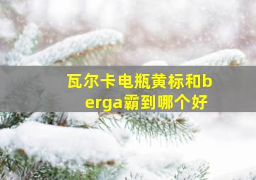 瓦尔卡电瓶黄标和berga霸到哪个好