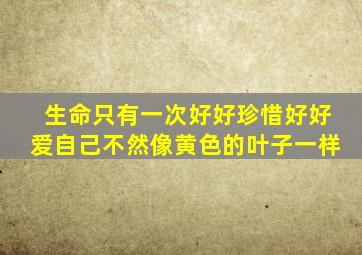 生命只有一次好好珍惜好好爱自己不然像黄色的叶子一样