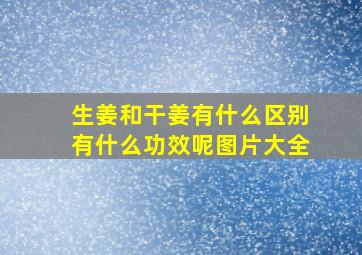 生姜和干姜有什么区别有什么功效呢图片大全