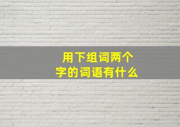 用下组词两个字的词语有什么