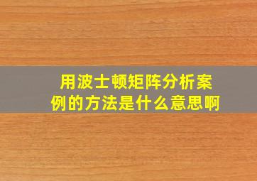 用波士顿矩阵分析案例的方法是什么意思啊