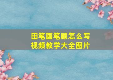 田笔画笔顺怎么写视频教学大全图片