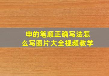 申的笔顺正确写法怎么写图片大全视频教学