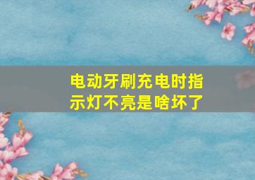 电动牙刷充电时指示灯不亮是啥坏了