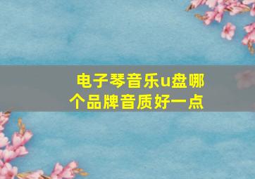 电子琴音乐u盘哪个品牌音质好一点