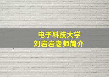 电子科技大学刘岩岩老师简介