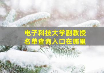 电子科技大学副教授名单查询入口在哪里