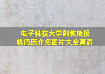 电子科技大学副教授杨帆简历介绍图片大全高清