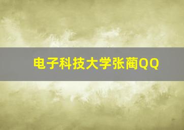 电子科技大学张蔺QQ