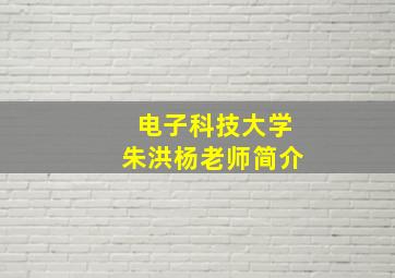 电子科技大学朱洪杨老师简介