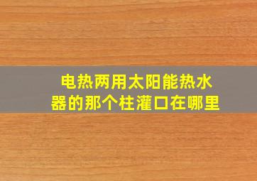 电热两用太阳能热水器的那个柱灌口在哪里